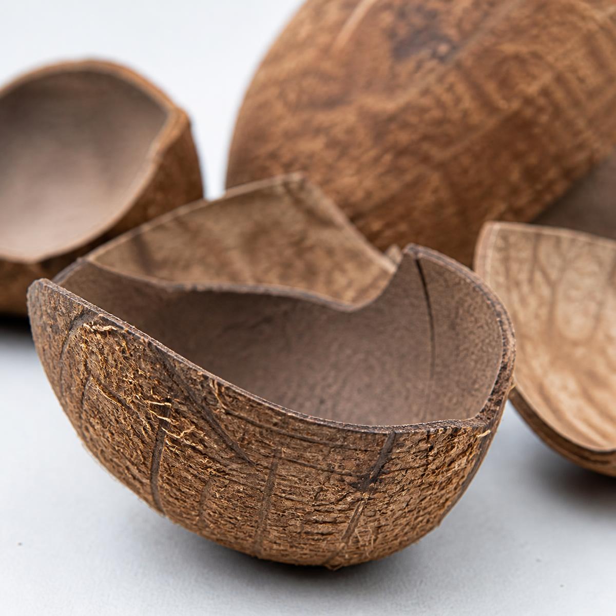 Coconut Shell